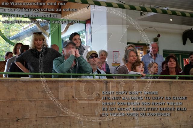 s_K3F01154.JPG